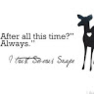 Meet your Posher, Maya